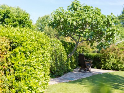 Holiday house Das blaue Haus - Outdoor photo 22