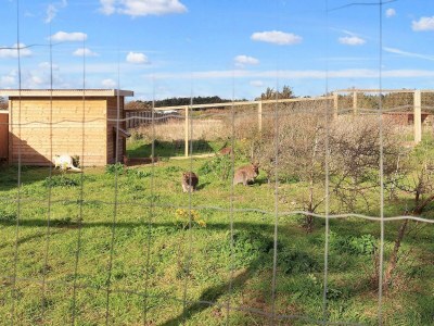 Holiday house Cabin in camping resort with activities - Outdoor photo 19