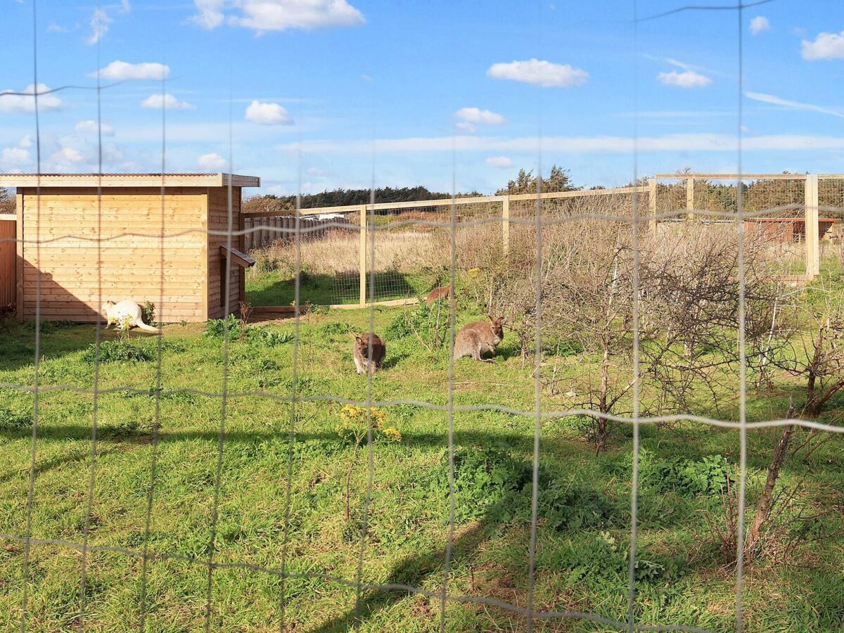 Holiday house Helle Hutten mit Terrasse -- By Traum Ferienwohnungen - Outdoor photo 5