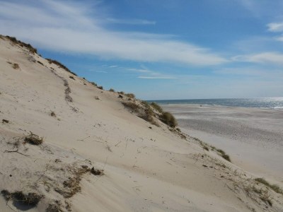 Holiday house Seaside Gem in Sondervig - By Traum Ferienwohnungen - Outdoor photo 38