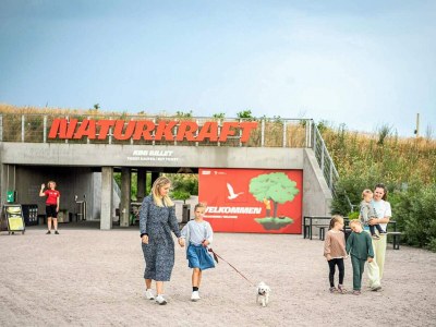 Holiday house Seaside Gem in Sondervig - By Traum Ferienwohnungen - Outdoor photo 41