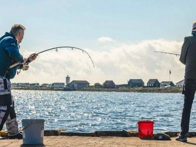 Holiday house Seaside Gem in Sondervig - By Traum Ferienwohnungen - Outdoor photo 49