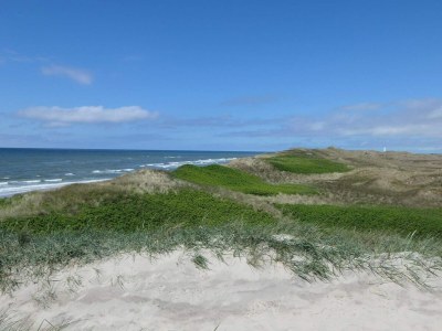 Holiday house Seaside Gem in Sondervig - By Traum Ferienwohnungen - Outdoor photo 56