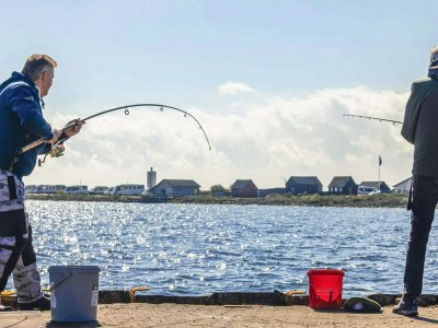 Holiday house Cozy Retreat in Sondervig - By Traum Ferienwohnungen - Outdoor photo 23
