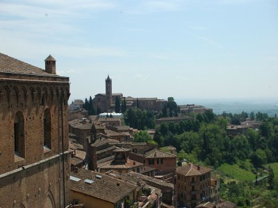 Farmhouse Bauernhaus in Arezzo, Elba - Environment photo 19