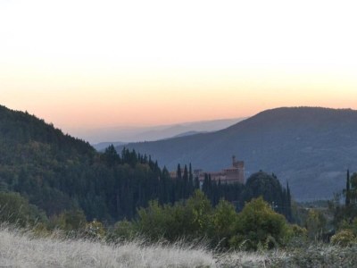 Farmhouse Bauernhaus in Arezzo, Elba - Environment photo 34
