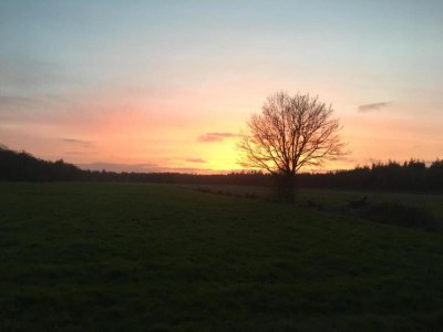 Holiday park Seeglück in Friesland - Environment photo 11