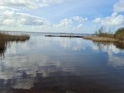 Holiday park Seeglück in Friesland - Environment photo 26