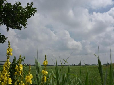 Holiday park Seeglück in Friesland - Environment photo 29