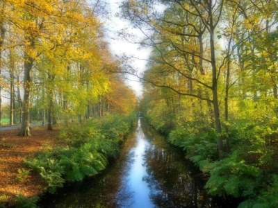 Holiday park Seeglück in Friesland - Environment photo 37