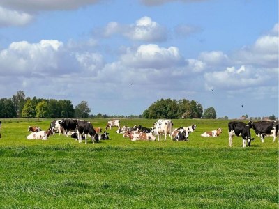 Holiday park Seeglück in Friesland - Environment photo 44