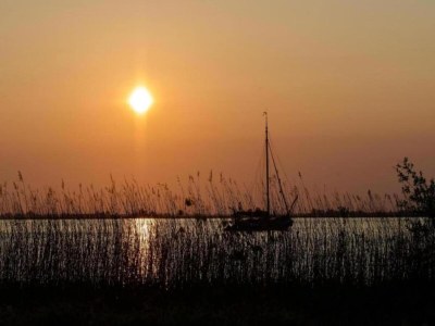 Holiday park Aufenthalt am Wasser mit Haustieren - Environment photo 10