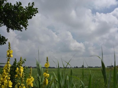 Holiday park Aufenthalt am Wasser mit Haustieren - Environment photo 23