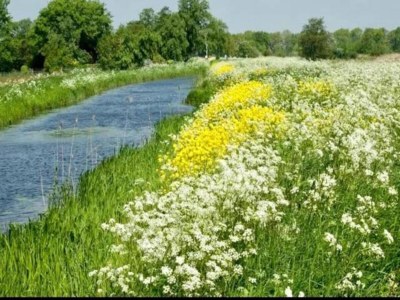 Holiday park Aufenthalt am Wasser mit Haustieren - Environment photo 35