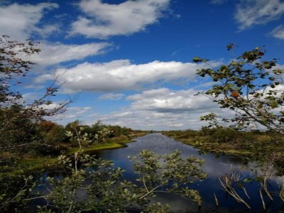 Holiday park Aufenthalt am Wasser mit Haustieren - Environment photo 36