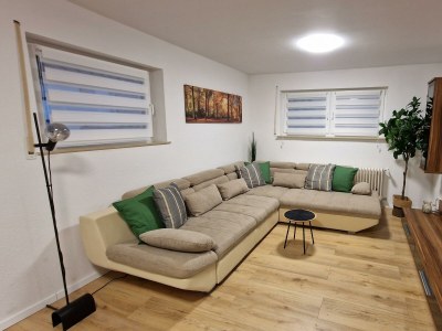 Apartment Appartement/Fewo, Bad, WC, 1 Schlafraum in Lemberg - Apartment