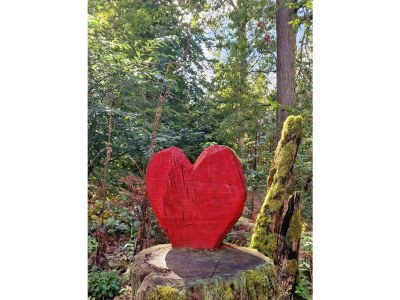 Apartment Appartement/Fewo, Bad, WC, 1 Schlafraum - Outdoor photo 14