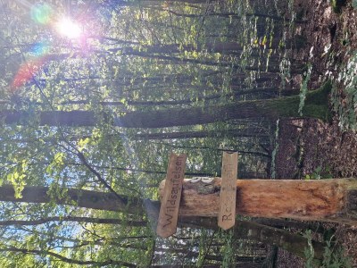 Apartment Appartement/Fewo, Bad, WC, 1 Schlafraum - Outdoor photo 17