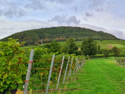 Apartment Appartement/Fewo, Bad, WC, 1 Schlafraum - Outdoor photo 22