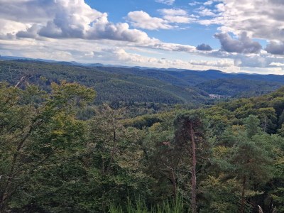 Apartment Appartement/Fewo, Bad, WC, 1 Schlafraum - Outdoor photo 32