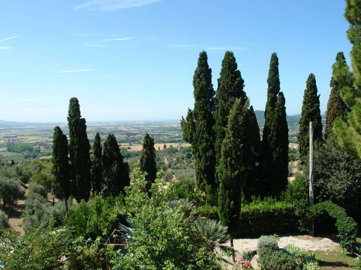 Villa La Piastraia - Outdoor photo 2