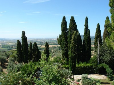 Villa La Piastraia - Outdoor photo 2