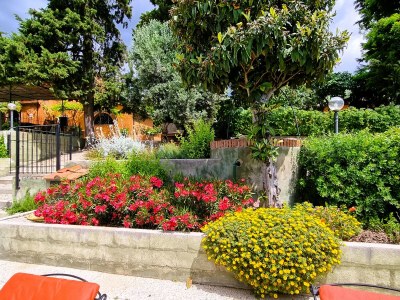 Villa La Piastraia - Outdoor photo 10