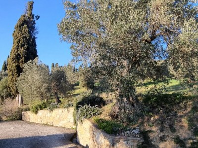 Villa La Piastraia - Outdoor photo 13