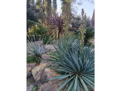 Villa La Piastraia - Outdoor photo 17