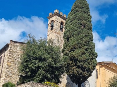 Villa La Piastraia - Environment photo 33