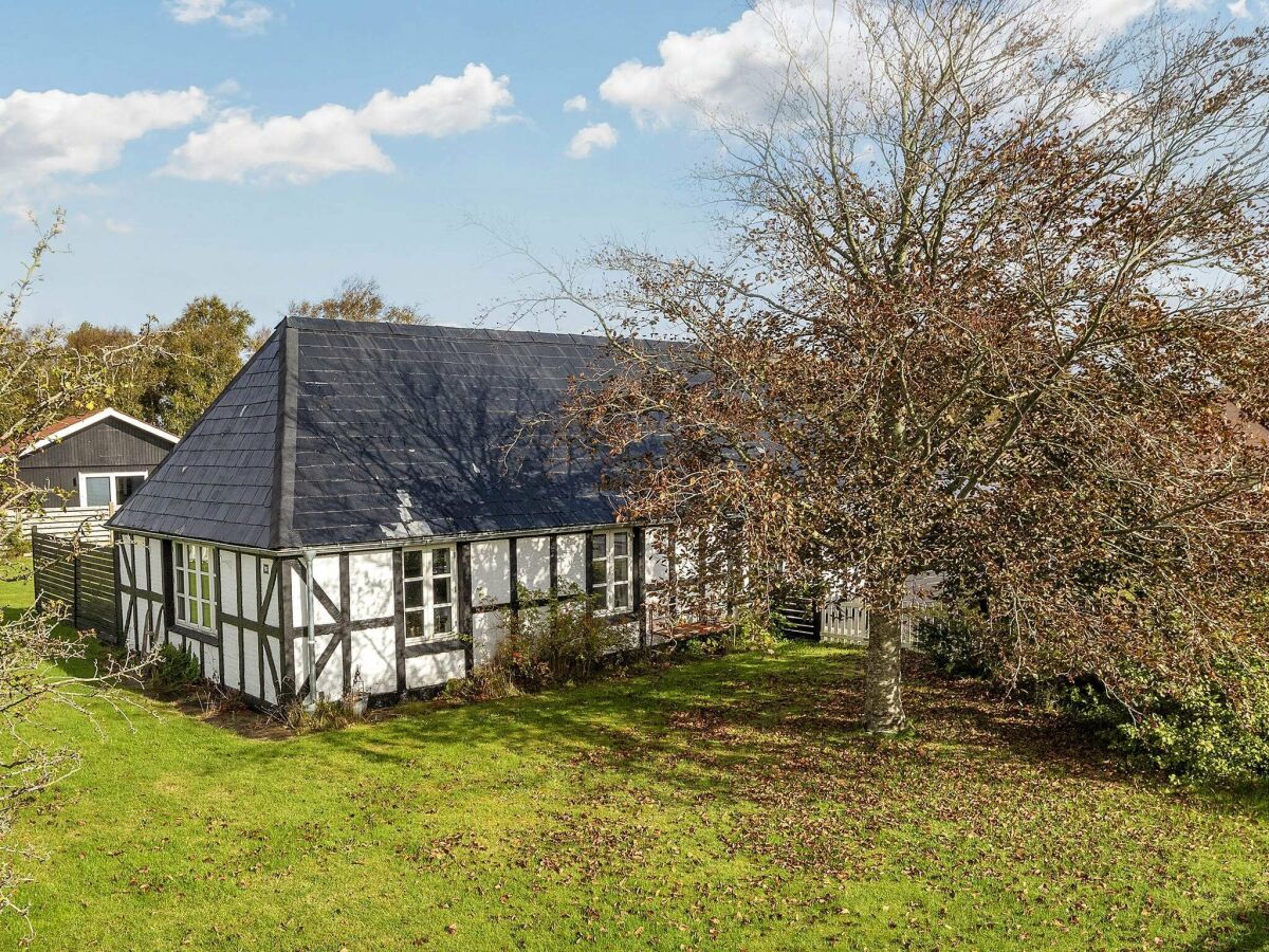 Holiday house Idyllischer Strandurlaub in Albaek - Outdoor photo 4