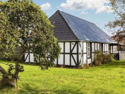 Holiday house Idyllischer Strandurlaub in Albaek - Outdoor photo 25