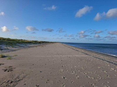 Holiday house Idyllischer Strandurlaub in Albaek - Outdoor photo 31