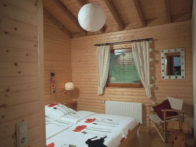 Holiday park Chalet in Reinskopf with Fireplace and Balcony - Features photo 6