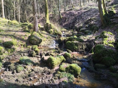 Holiday park Chalet in Reinskopf with Fireplace and Balcony - Environment photo 11