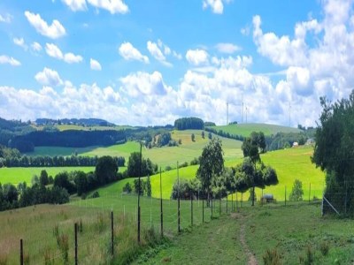 Holiday park Chalet in Reinskopf with Fireplace and Balcony - Environment photo 14
