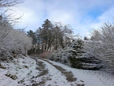 Holiday park Chalet in Reinskopf with Fireplace and Balcony - Environment photo 15
