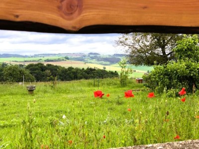 Holiday park Chalet in Reinskopf with Fireplace and Balcony - Environment photo 16