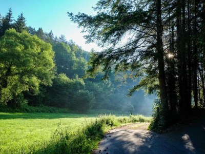 Holiday park Feriendorf Reinskopf in der Eifel - Environment photo 17