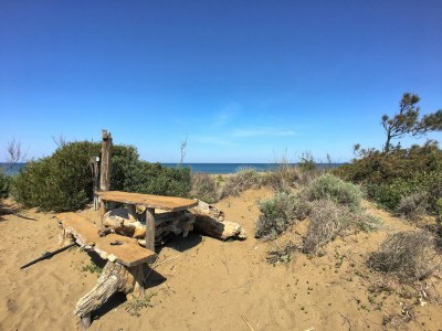 Holiday house Holiday Home by Marina Beach Tuscany - Outdoor photo 9