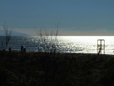 Holiday house Holiday Home by Marina Beach Tuscany - Environment photo 33