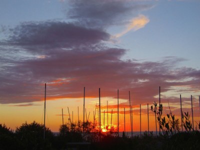 Holiday house Holiday Home by Marina Beach Tuscany - Environment photo 37
