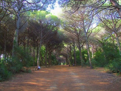 Holiday house Holiday Home by Marina Beach Tuscany - Environment photo 38