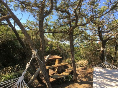 Holiday house Holiday Home by Marina Beach Tuscany - Outdoor photo 39