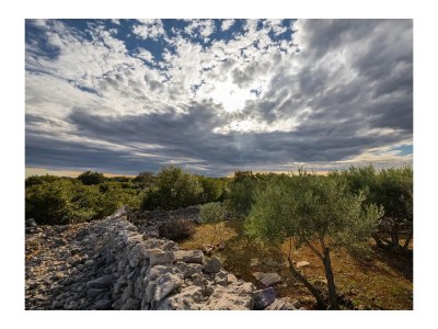 Holiday apartment Palm Springs - Environment photo 37