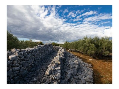 Holiday apartment Palm Springs - Environment photo 38