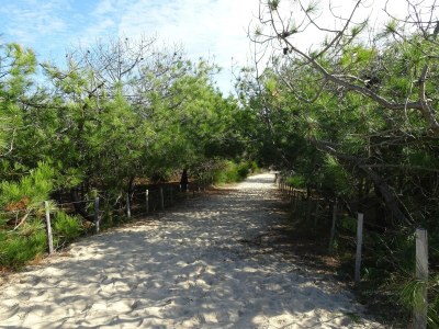 Holiday house Haus in Margaux mit Salzwasserpool & Weinbergen - Environment photo 19