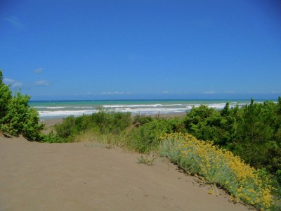 Holiday house Charm in Castagneto Carducci - Outdoor photo 2