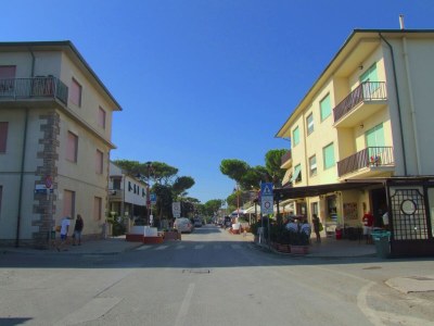 Holiday house Charm in Castagneto Carducci - Environment photo 35