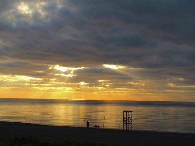 Holiday house Charm in Castagneto Carducci - Environment photo 36